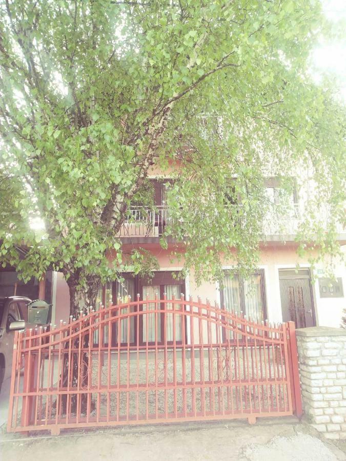Apartment Terra & Boat Trip Bihac Exterior photo