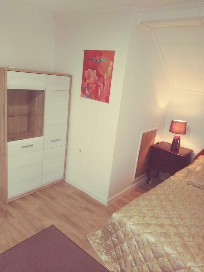 Apartment Terra & Boat Trip Bihac Exterior photo